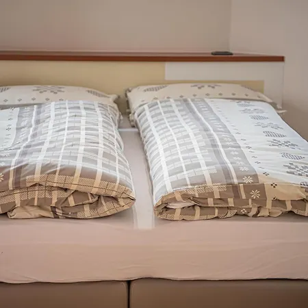 Edera Myholidaylivigno *